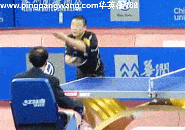 364_257gif 动态图 动图