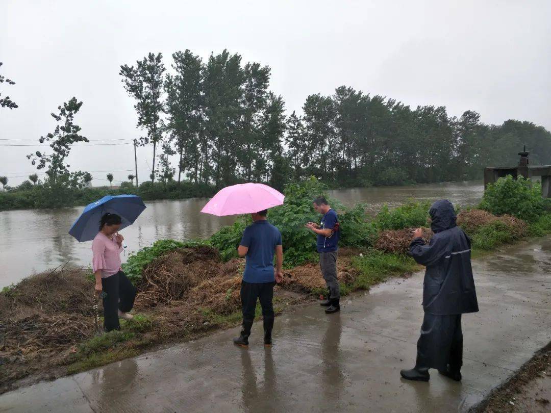 江陵县启动防汛iv级应急响应 各级各地多措并举积极应对