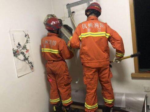 空调|整整十只！杭州城西一户，蝙蝠一家入住“空调房”