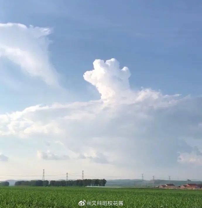 来自天空的问候,像一只小猫爪#萌翻了~#12亚鑫语录:在公众场合跑起来