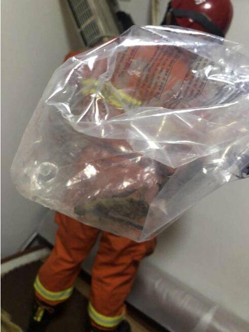 空调|整整十只！杭州城西一户，蝙蝠一家入住“空调房”