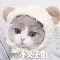 高考英语出题向ETS看齐，考完是不是就能解锁托福80+？