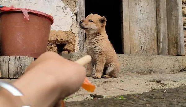 『她为何在青铜,王者和沙雕之间疯狂徘徊? | 爆笑囧图』