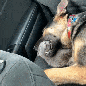 睡姿不走寻常路就够奇葩了.