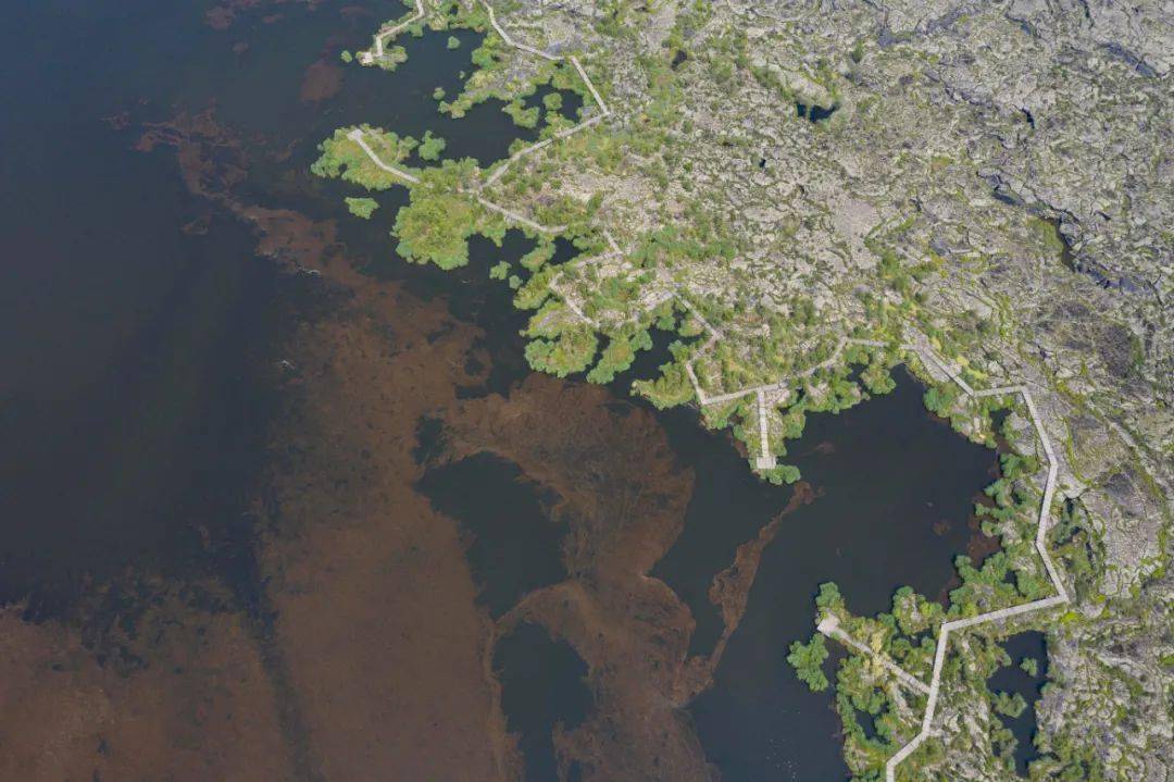 内心|内心敏感的你，如何让自己不再受伤？