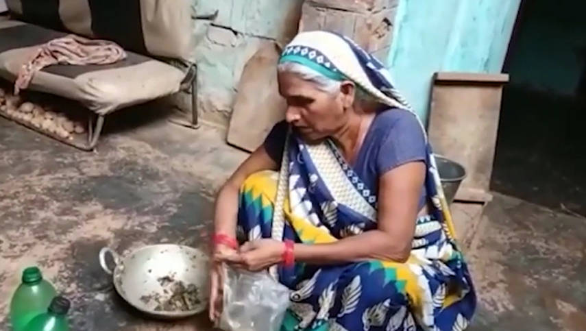 葫芦巴|印度一菜贩用大麻冒充蔬菜送人 一家6口误食送医