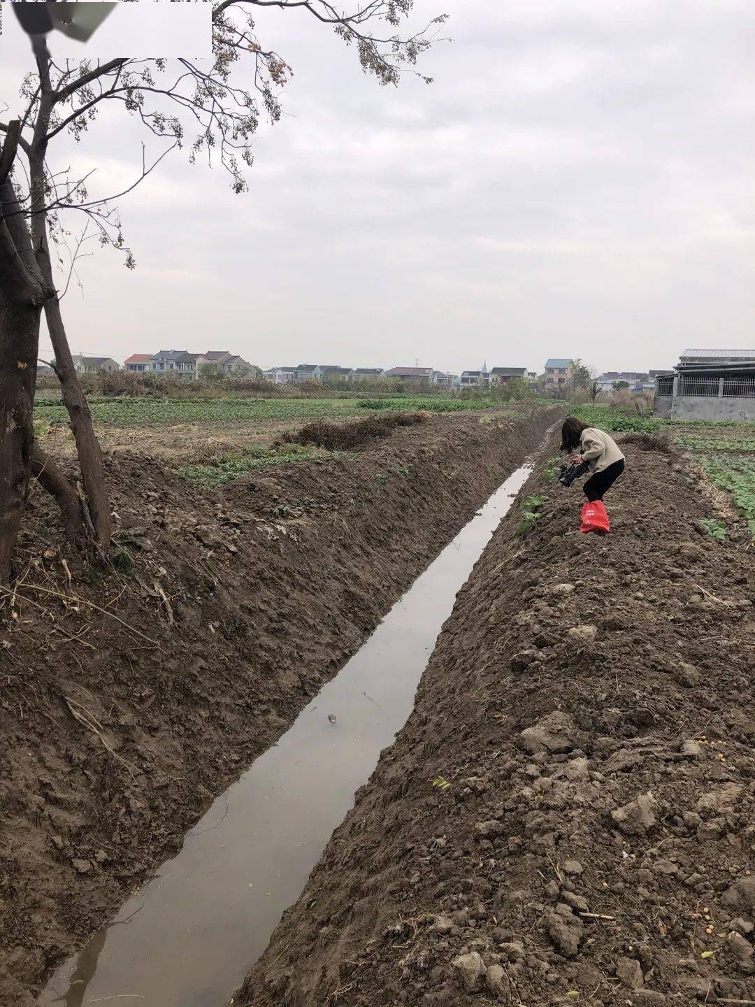 组织安排10余次农田排水泵站,闸口,设备排查,检修和调试,保障河道排水