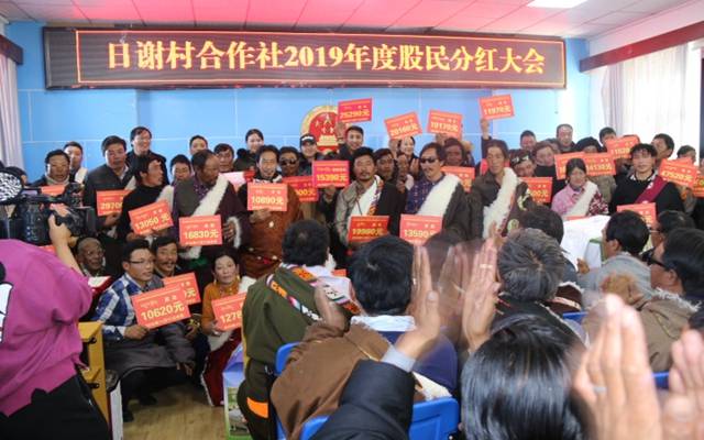 合作社|上海送来分红模式，玛多牧民增收“喜羊羊”
