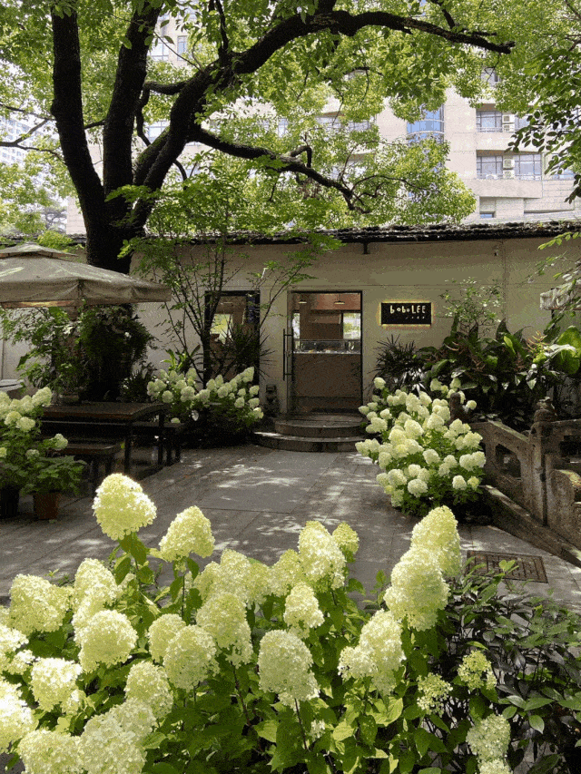 640_853 竖版 竖屏