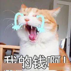 文章配图-9