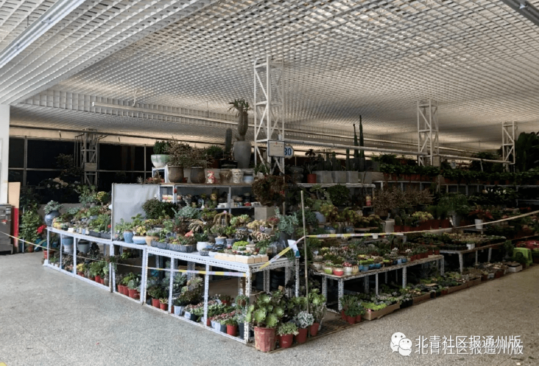 下周(7月13日)开始,八里桥市场停止所有食品零售,不再接待散客!