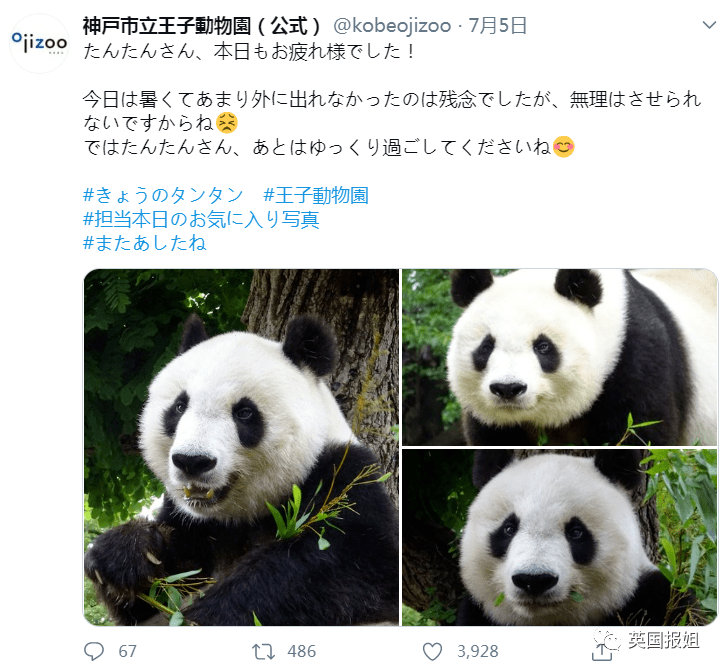 旅日20年熊猫即将回国,日本民众不舍:中国再给两只行不?