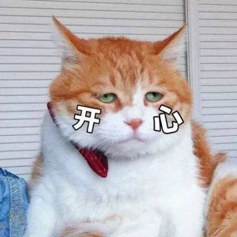 官宣|官宣！最新放假通知！