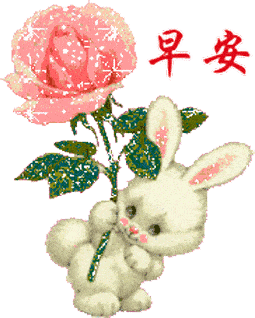 周四新出的早上好问好的句子简短,适合早上的漂亮动态
