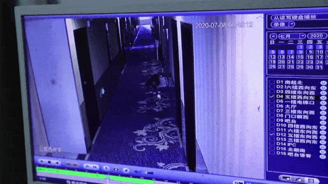 高考|2020年高考，这一幕幕注定难忘……