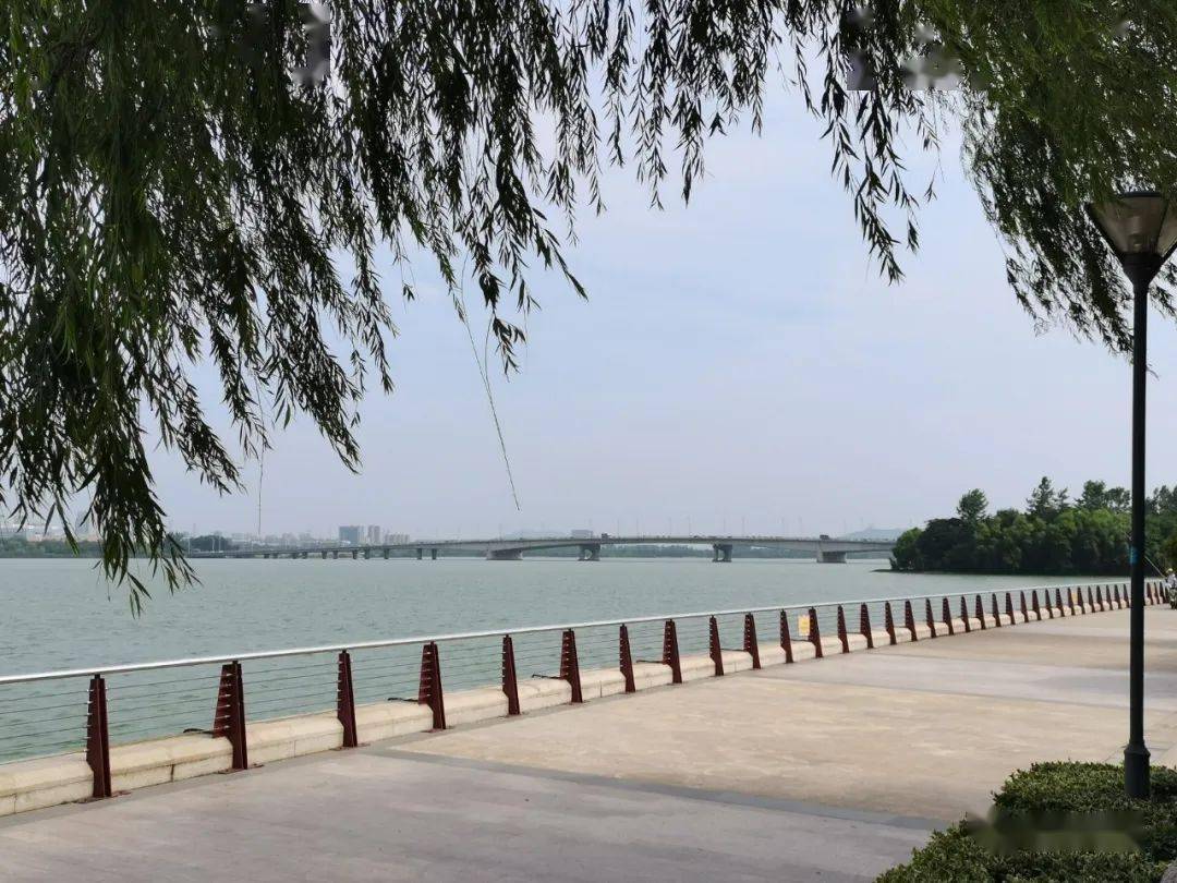 龙子湖风景区