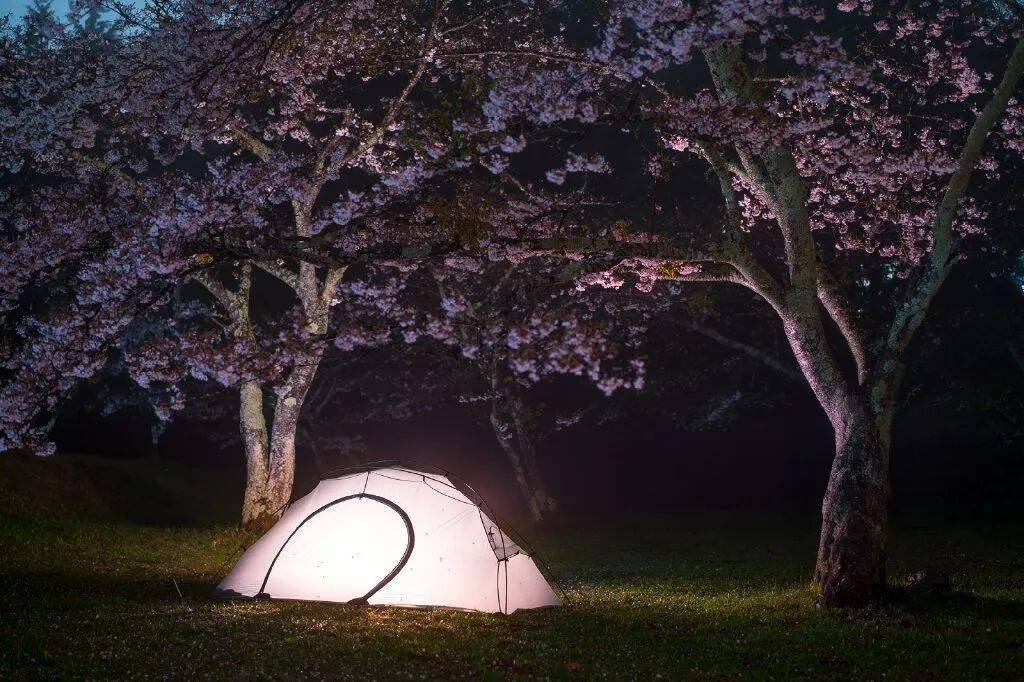 王吉|玩户外这么多年,你真的会用帐篷吗?丨直播预告