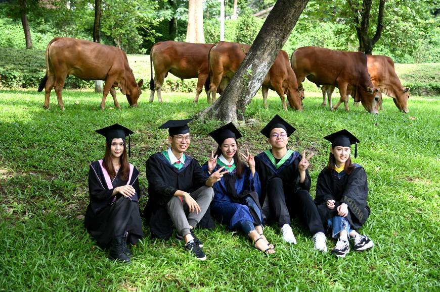 云聚|“隔屏不隔爱”！大学生“云聚”毕业典礼说再见