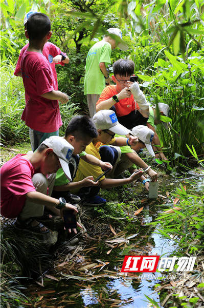 教育|美时美刻·少年行知学院创“户外主题教育” 模式 引领户外课堂3.0时代