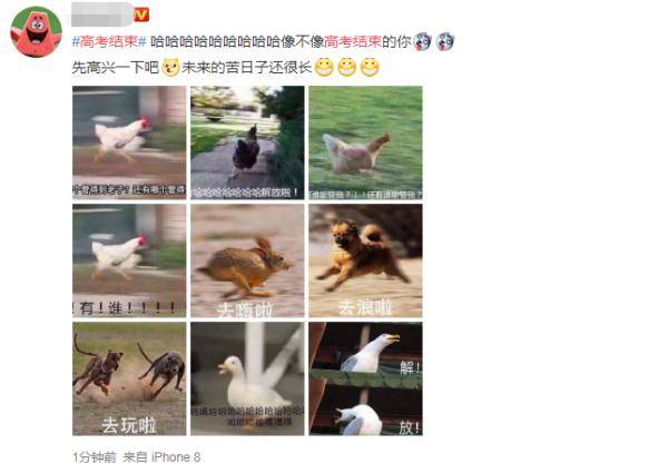 高考|高考结束，我最想做……