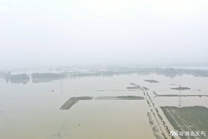 水位|富河已超1998年历史最高水位 做好网湖分洪准备