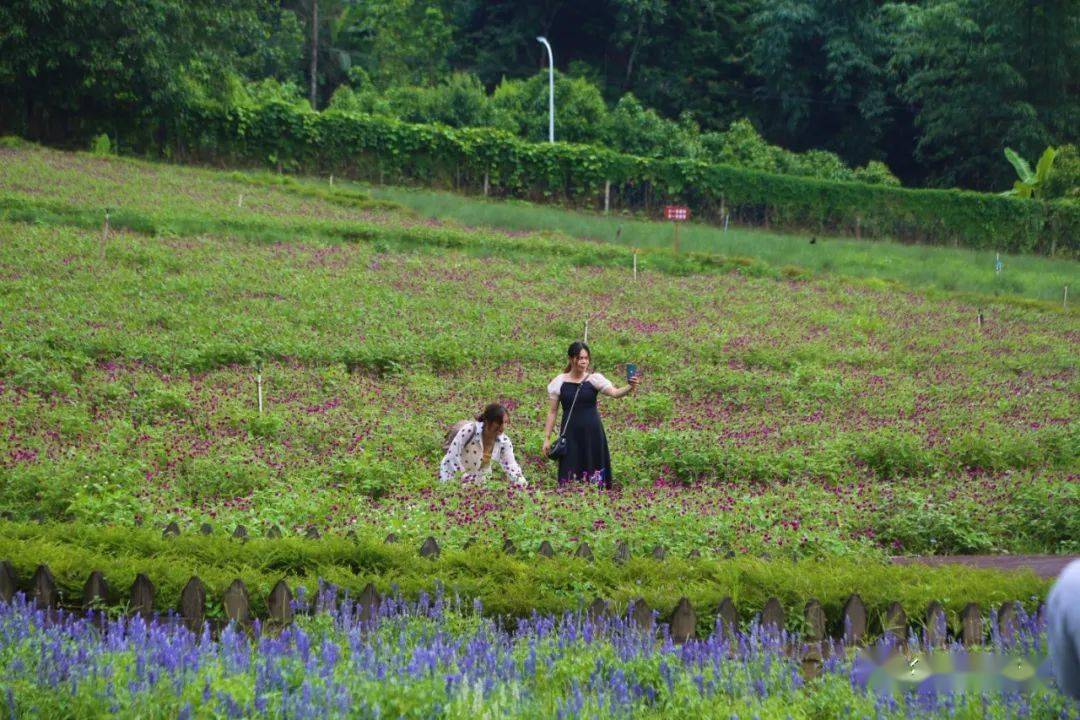 胡一天日本旅游 5d475e6161024810b04858c78d5797c6.jpeg