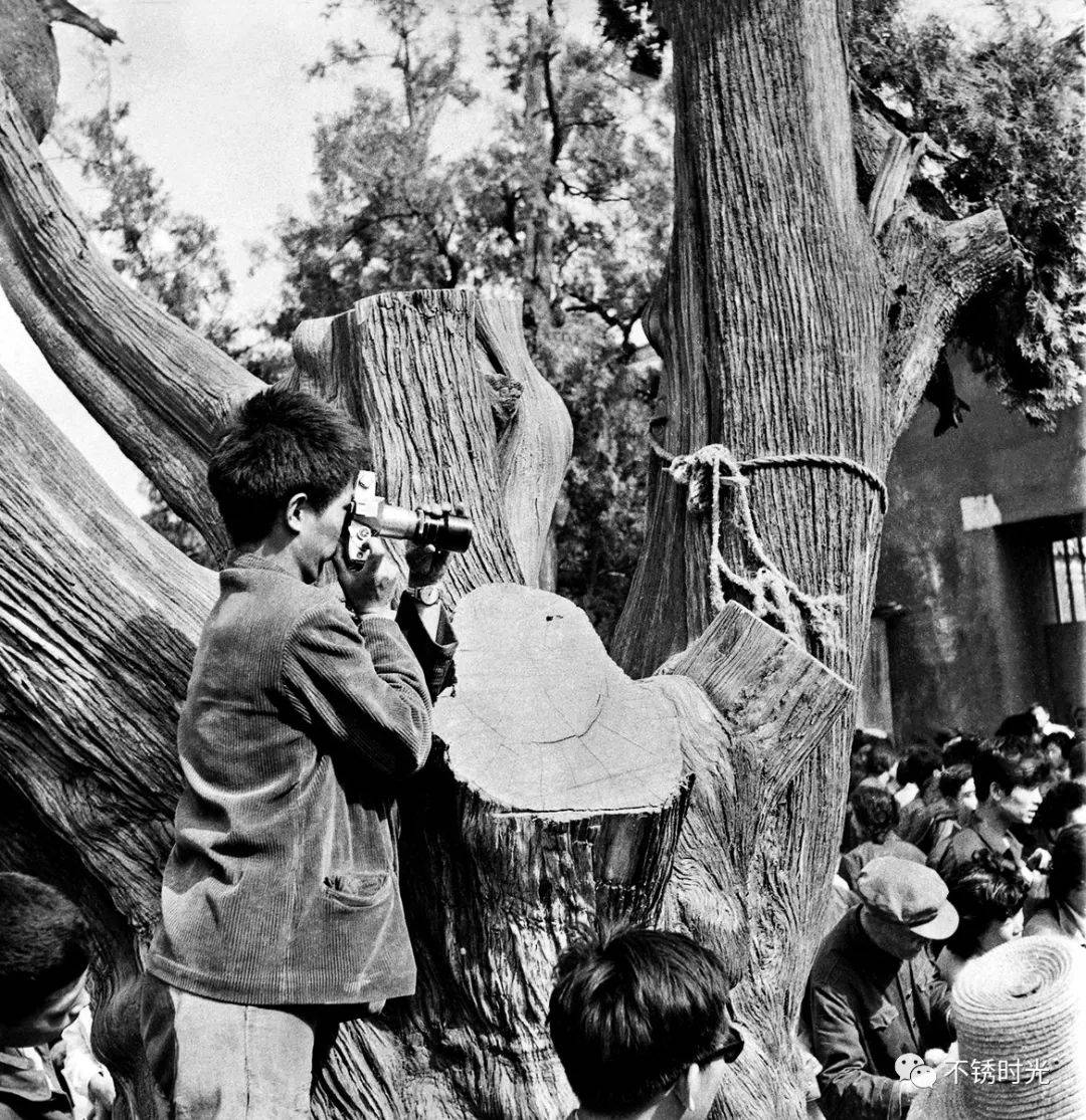 池小宁|影友池小宁：他身上凝结着那个时代的好东西