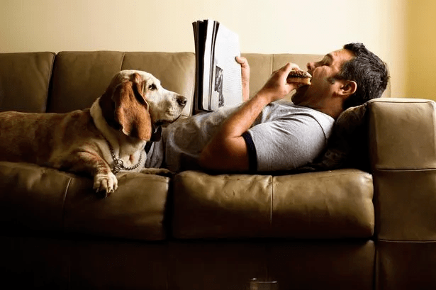 贫穷使人肥胖 | 糖、超重与晚期资本主义慢性病