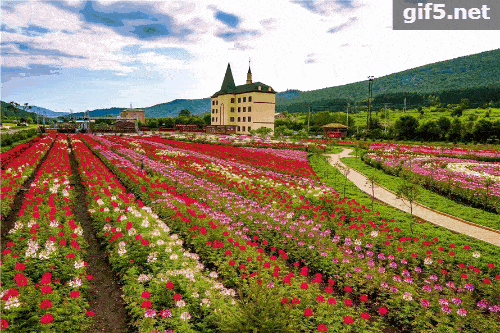 这里是伊春唯一一家影视拍摄基地,是我国反映东北小镇上世纪30年代至