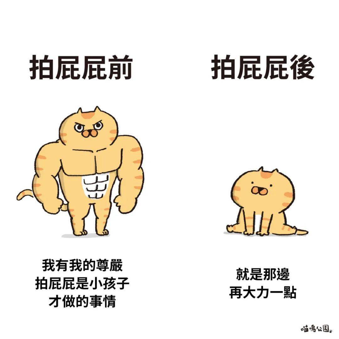继肌肉doge和小废狗表情包大火后猫咪版本也来了