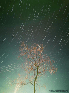 4b780063d06647408e46e3575b574b83.png