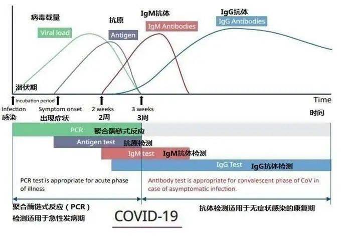 无休止核酸检测创造GDP_核酸检测图片(2)