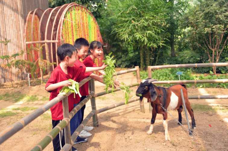 小动物我们将带领大家喂养小动物撒欢吧孩子们累了就躺在泥地里做个泥