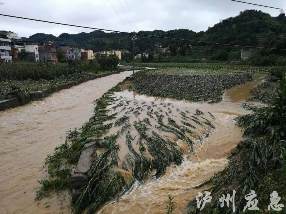 磨滩镇人口_广元召开渔业品牌建设现场会(3)