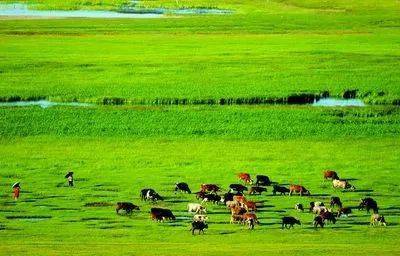 科尔沁草原位于亚欧大陆的最东端