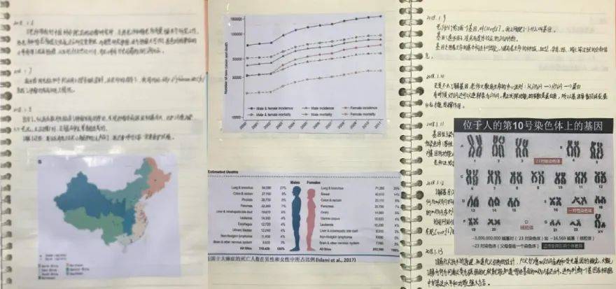 研究|小学生研究癌症获奖谜团：从“不了解基因”到1年多完成项目