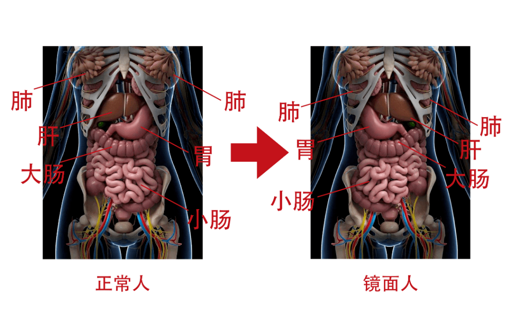 吴中集团现任董事长(2)