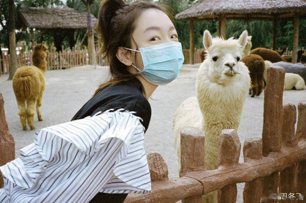 发型|别披头发了！这4款最火的夏日发型，谁扎谁好看！