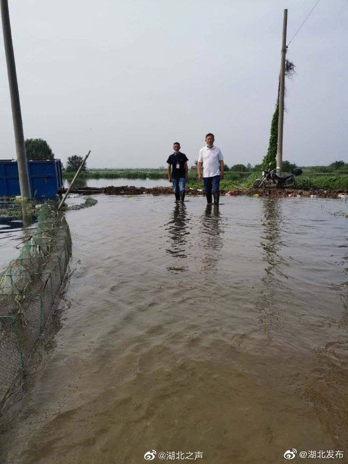 险情|洪湖水位继续上涨 ，超过3万人上堤防汛值守