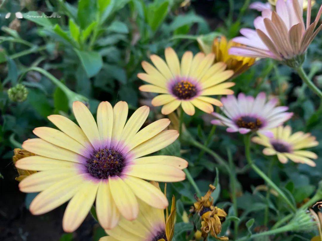 孩子|记住了知识，但不会学习的孩子没有未来