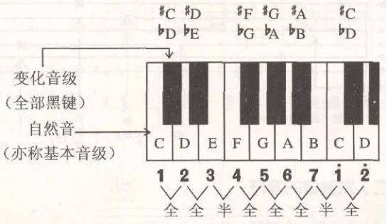 基本音级与变化音级丨基本功知识