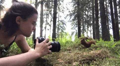超萌松鼠“吃播”刷爆推特，摄影师揭露背后真相