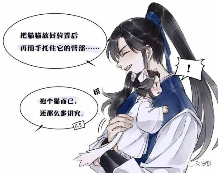 二哈和他的白猫师尊:墨宗师惹晚宁炸毛,害羞猫宁在线双标