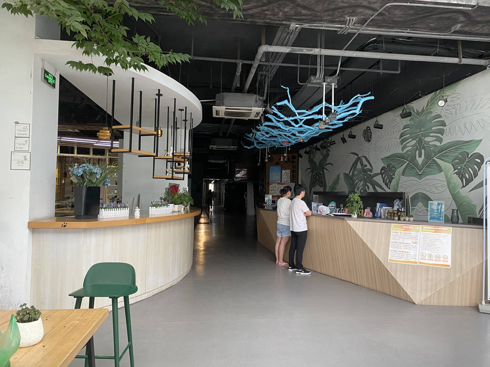 向时代|长租公寓“爆雷”不断，湾流国际打“游击”，车建新、郑永刚都踩坑