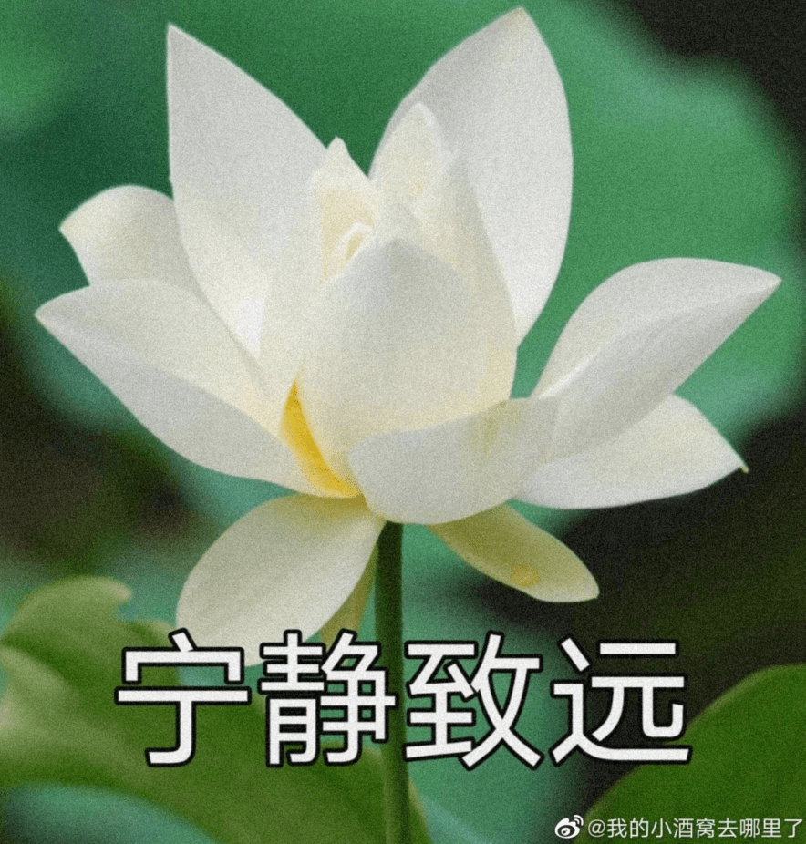 "用这个头像的都是渣男."评论扎心