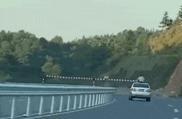 孩子|暑假，看好孩子！