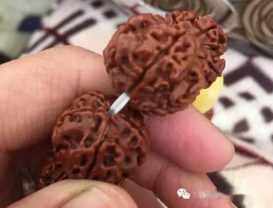 大金刚|什么样的大金刚值得买 谈一谈桩型纹路与皮色