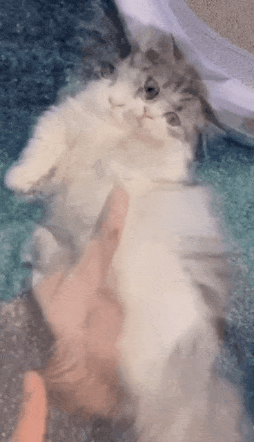 368_640 竖版 竖屏 