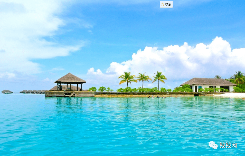 紫菜|小孩都馋哭了！舌尖跳舞的夹心海苔！一咬“咔嗞”脆响