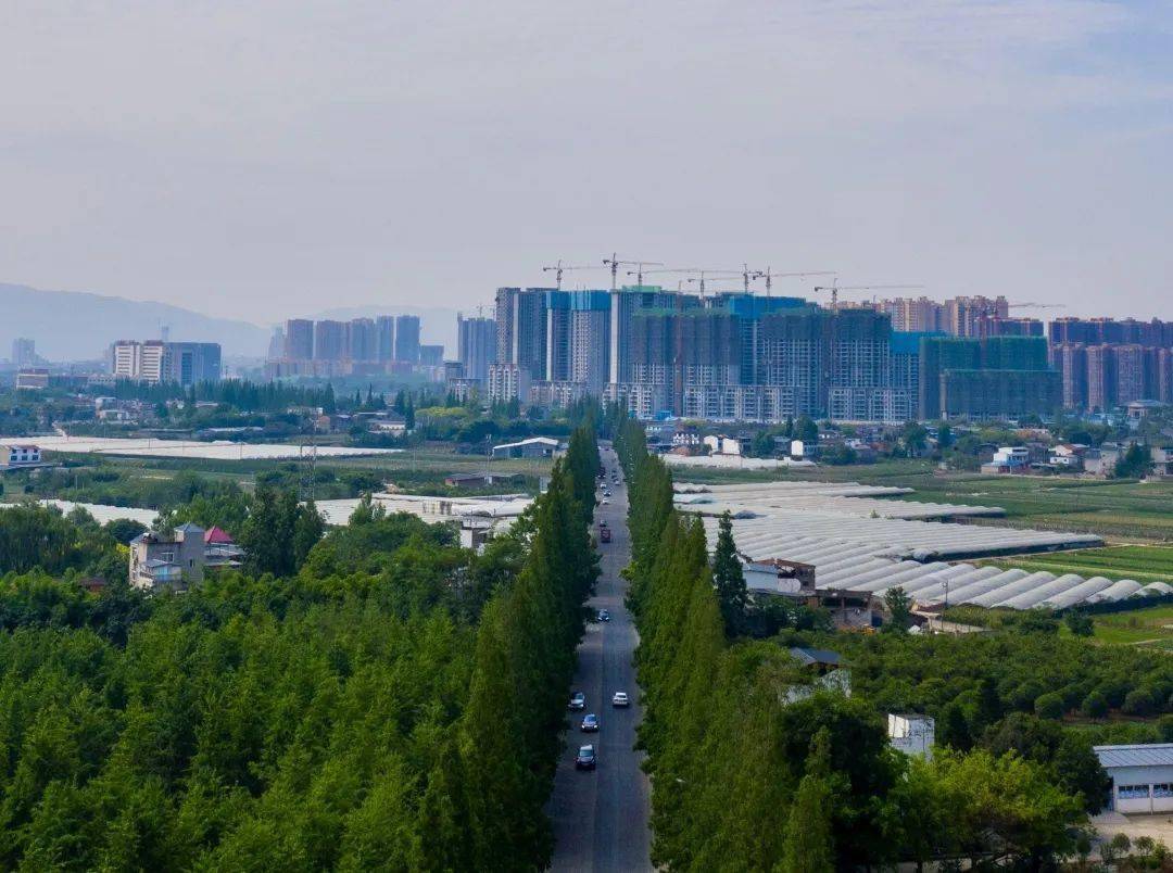 全国县人口排名2020_全国各县人口数量排行(2)